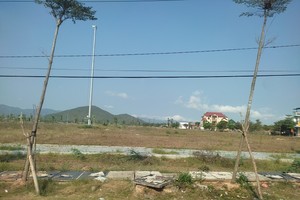 Bình Định quy định về điều kiện, diện tích tối thiểu được tách, hợp thửa đất