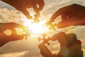 Từ năm 2014 tới nay, có nhiều nhà đầu tư tổ chức nước ngoài tăng sở hữu tại các doanh nghiệp dược đầu ngành đang niêm yết tại Việt Nam