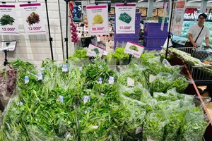 Bộ trưởng Bộ Công thương chỉ đạo các đơn vị chức năng xử lý nghiêm hành vi găm hàng, tăng giá bất hợp lý sau siêu bão Yagi.