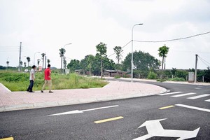 Nhiều nhà đầu tư cho biết, bản thân khó chấp nhận với mức giá đất hiện tại. Ảnh: Thanh Vũ 