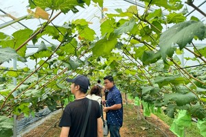 Việc cải tiến thủ tục hành chính cũng là một phần trong chiến lược cải cách tổng thể của Thành phố Hà Nội nhằm nâng cao năng lực cạnh tranh, thu hút đầu tư và hỗ trợ khởi nghiệp. Ảnh: Nguyễn Linh