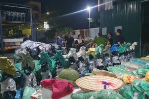 Xử lý 4.257 vụ hàng lậu, hàng giả trong 1 tháng, thu nộp ngân sách 38 tỷ đồng