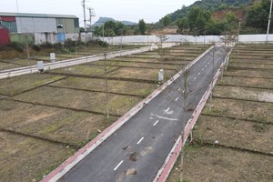 Hà Nội quy định diện tích tách thửa, hợp thửa với từng loại đất