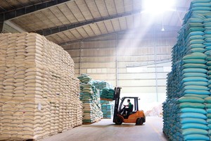 Giá gạo xuất khẩu được dự báo sẽ có diễn biến giảm trong những tháng cuối năm 2024