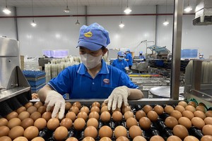 Cần nâng cao khả năng cạnh tranh cho doanh nghiệp Việt trên thị trường trứng gia cầm.