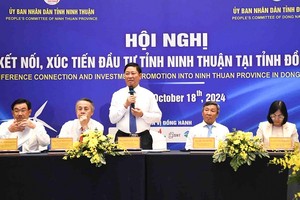 Ông Trần Quốc Nam (đứng) Chủ tịch UBND tỉnh Ninh Thuận trả lời một số vấn đề mà nhà đầu tư quan tâm