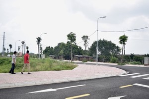 Nhà đầu tư mục sở thị lô đất 133,3 triệu đồng/m2. Ảnh: Thanh Vũ