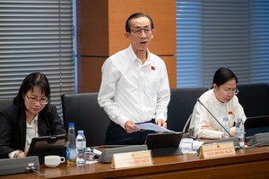 Đại biểu Trần Hoàng Ngân đề nghị giảm mạnh thuế cho báo chí. Ảnh: Như Ý