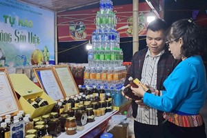 Các gian hàng được bố trí đẹp mắt, chuyên nghiệp.