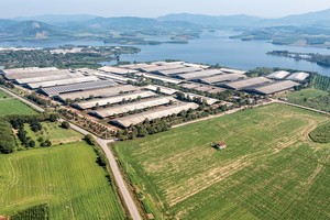 Trang trại bò sữa tại Nghệ An của TH true Milk là một trong những dự án được BAC A BANK tư vấn đầu tư