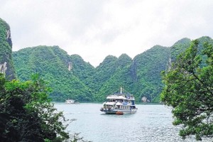 Tàu du lịch đưa du khách tham quan vịnh Hạ Long (Ảnh: Thanh Tân)