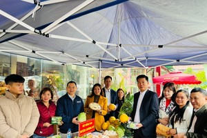 Nhiều sản phẩm nông sản chất lượng cao, sản phẩm OCOP được trưng bày tại phiên chợ.