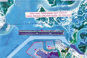 Cảng trung chuyển quốc tế Cần Giờ là dự án được TP.HCM đưa vào danh mục thu hút nhà đầu tư chiến lược. 