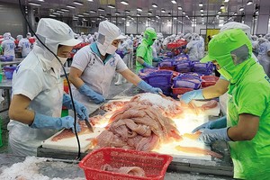 Bất chấp những biến động của kinh tế toàn cầu, ngành thủy sản tiếp tục đạt kim ngạch xuất khẩu cao trong năm 2024. Ảnh: Đức Thanh