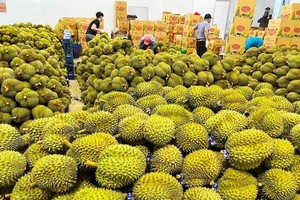 Doanh nghiệp rau quả đặt mục tiêu xuất khẩu 8 tỷ USD 