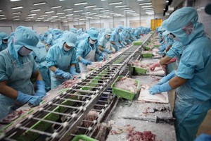 Cá tra là một trong những mặt hàng xuất khẩu có diễn biến tích cực cả về sản lượng và giá bán
