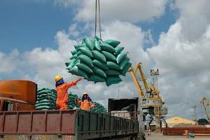 Năm 2024, Việt Nam giữ vị trí là quốc gia xuất khẩu gạo lớn thứ 3 sang Singapore, sau Ấn Độ và Thái Lan.