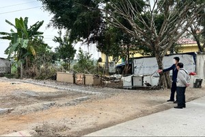 Phân khúc đất nền được kỳ vọng sẽ tiếp tục có những chuyển biến tích cực trong năm 2025. Ảnh: Thanh Vũ