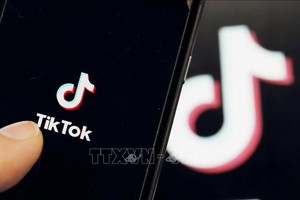 Biểu tượng ứng dụng TikTok trên màn hình điện thoại di động. Ảnh: Kyodo/TTXVN