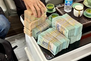 Nhà đầu tư tiến hành giao dịch ngay đầu Xuân. Ảnh: Thanh Vũ