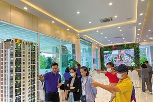 Thị trường bất động sản phía Nam khó sốt ngay cả khi được gỡ vướng pháp lý