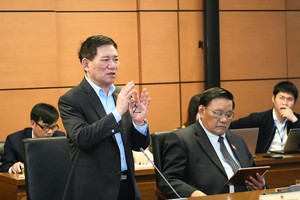  Phó thủ tướng Hồ Đức Phớc phát biểu tại tổ. Ảnh PT.