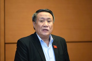 Đại biểu Hà Sỹ Đồng phát biểu tại tổ - Ảnh Như Ý.