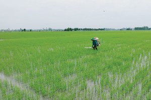 Ngành phân bón Việt Nam có dư địa tăng trưởng 