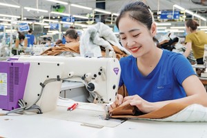 Thời điểm này, TNG đã nhận được đơn hàng cho quý II/2025