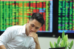 Nhà đầu tư cần một chiến lược quản trị rủi ro chặt chẽ để bảo vệ danh mục trước áp lực tỷ giá