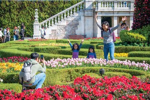 Du khách quốc tế thích thú với trải nghiệm tại Việt Nam. 