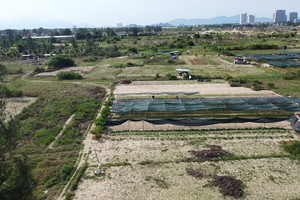 Tỉnh Quảng Nam có 88 dự án đầu tư xây dựng nhà ở, khu dân cư, khu đô thị ngoài khu kinh tế, khu công nghiệp chậm tiến độ trên 24 tháng so với tiến độ trong văn bản chấp thuận chủ trương đầu tư ban đầu. Trong ảnh là các khu đô thị chậm triển khai tại thị xã Điện Bàn. Ảnh: Linh Đan