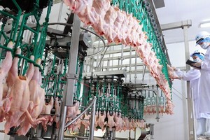 Sản phẩm thịt gà của Việt Nam sắp được xuất khẩu chính ngạch sang Singapore.