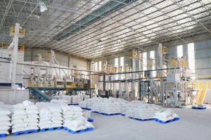 Giá gạo xuất khẩu bình quân 2 tháng đầu năm 2025 giảm 18,3% so với cùng kỳ.