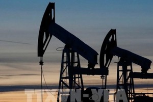 Các máy bơm dầu tại giếng dầu Imilorskoye ở Kogalym, vùng Siberi, Nga. (Ảnh: REUTERS/TTXVN)