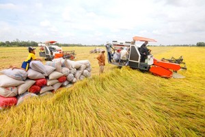 Đoàn kiểm tra liên ngành về xuất khẩu gạo đang tiến hành kiểm tra tại ĐBSCL.