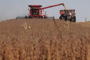 Nông sản Mỹ rộng đường vào Việt Nam 