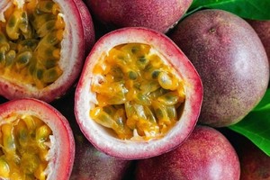 Việt Nam-Trung Quốc ký kết thêm 4 nghị định thư nông nghiệp