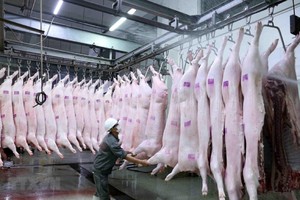 Chủ tịch Hà Nội chỉ thị tăng cường quản lý, kiểm soát giết mổ động vật