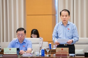 Chủ nhiệm Uỷ ban Pháp luật và Tư pháp Hoàng Thanh Tùng phát biểu. 