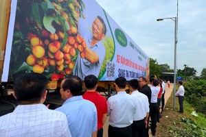 Vải thiều sớm Tân Yên xuất khẩu sang Thái Lan và thị trường Châu Âu.