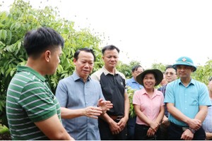 Bộ trưởng Bộ Nông nghiệp và Môi trường Đỗ Đức Duy kiểm tra vùng trồng vải thiều ở Bắc Giang.