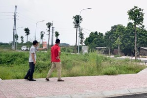 Phân khúc đất nền được nhiều nhà đầu tư quan tâm trong giai đoạn quý I/2025. Ảnh: Thanh Vũ