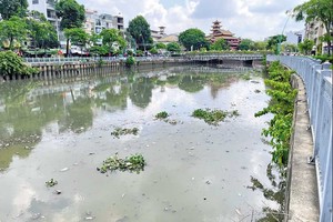 Dự án Vệ sinh môi trường TP.HCM - giai đoạn II có ý nghĩa vô cùng quan trọng đối với môi trường sống của người dân TP.HCM 