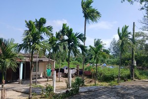 Khu du lịch sinh thái Lê Phan nằm trên phường phường Cẩm An, thành phố Hội An.