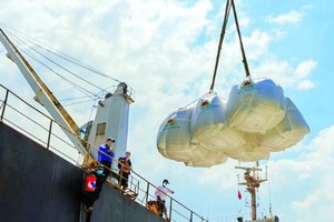 Giá gạo xuất khẩu trung bình 4 tháng đầu năm 2025 giảm 19,8% so với cùng kỳ năm 2024