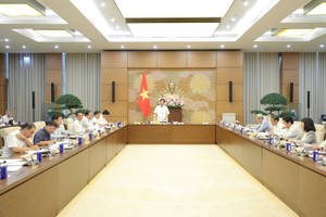 Toàn cảnh phiên thẩm tra - Ảnh: HL.