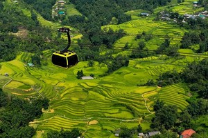 Công ty Cáp treo Fansipan công bố kết quả kinh doanh 2024