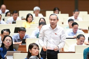 Đại biểu Phan Đức Hiếu (Thái Bình) tham gia thảo luận. 