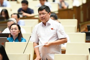 Đại biểu Tạ Văn Hạ (Quảng Nam). 